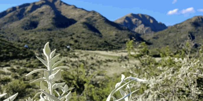RESERVA VOLCAN POCA