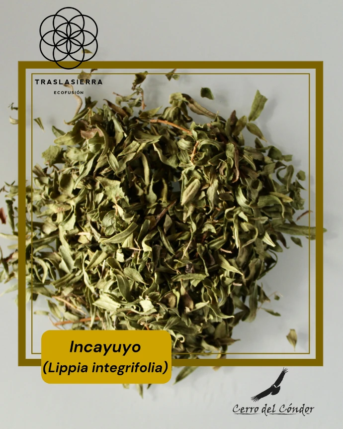 Incayuyo- producto interno