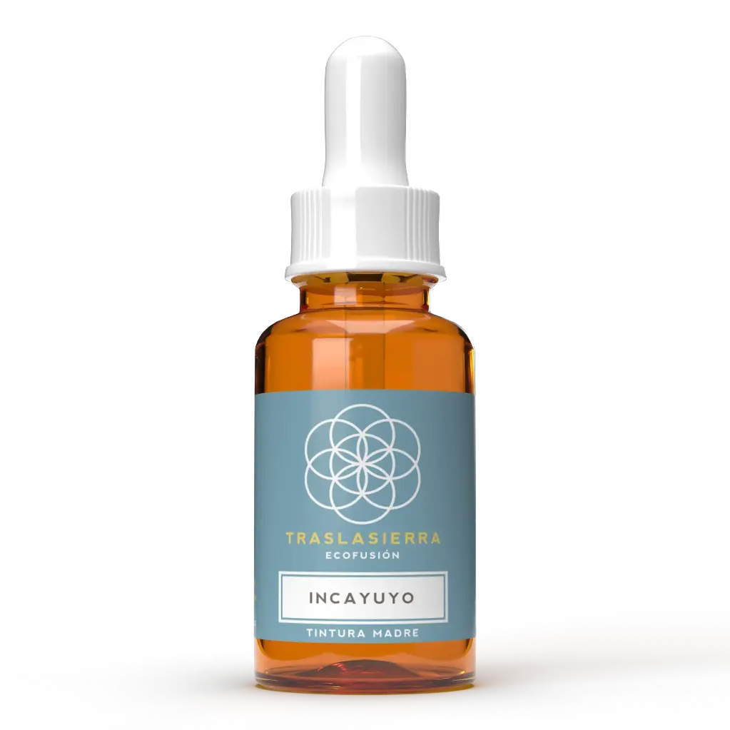 Tintura Madre de Incayuyo