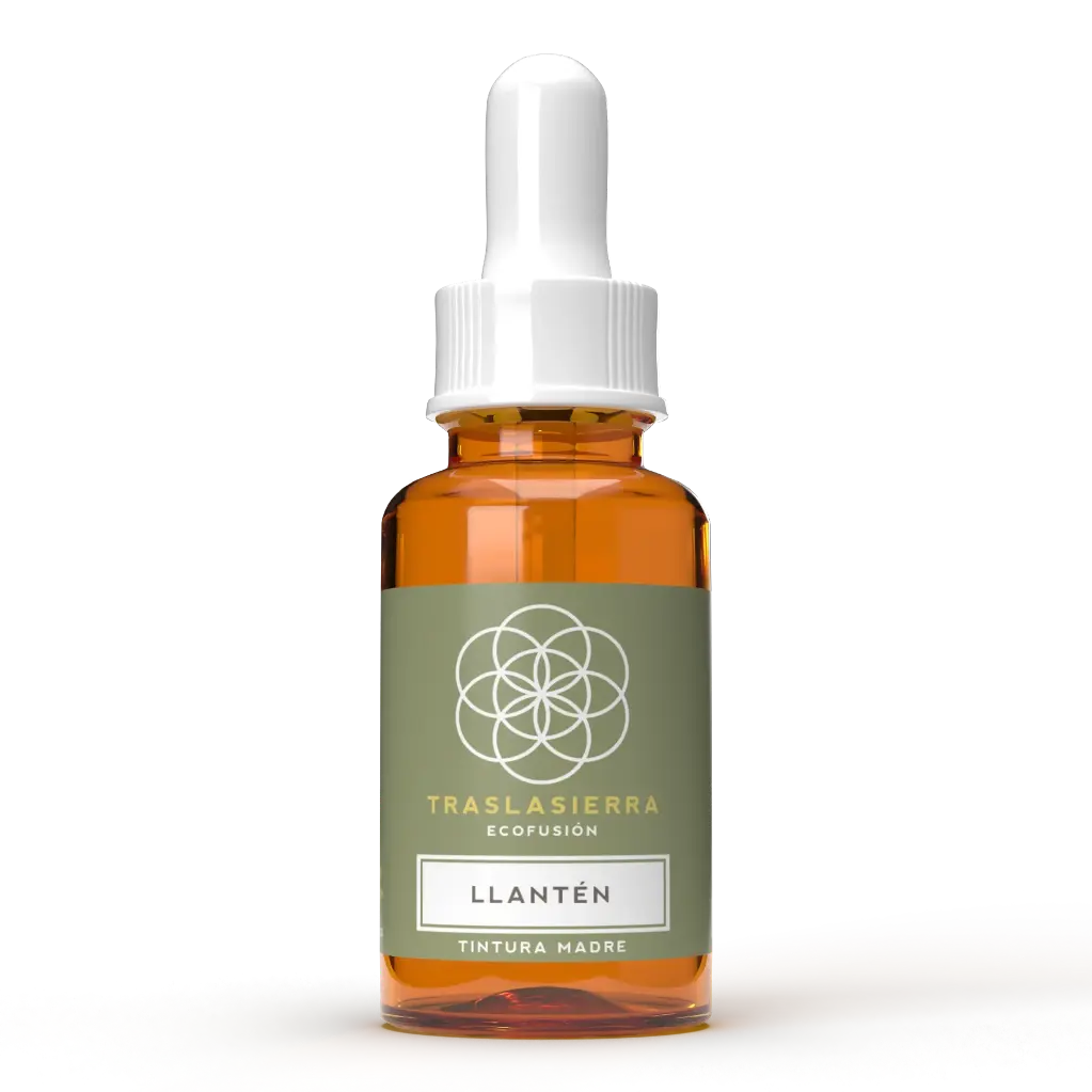 Tintura Madre de Llantén