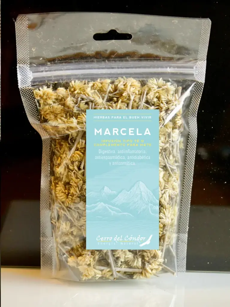 Marcela Doypack
